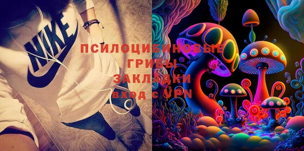 круглые Алзамай