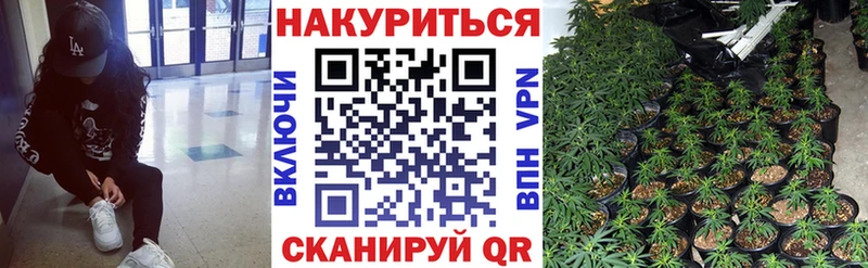 Конопля план Чадан